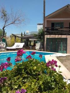 un montón de flores púrpuras junto a una piscina en Casa con piscina a 5 minutos del centro en El Challao