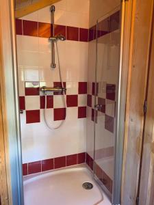 a bathroom with a shower and a bath tub at Aux trois marmottes - Chalet au pied des pistes in Formiguères