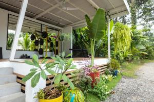 Fotografie z fotogalerie ubytování Casa Presidente (5 bed/5 bath/AC/infinity pool) v destinaci Punta Uva