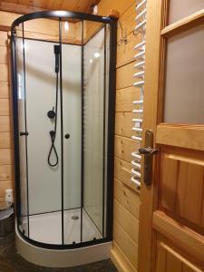 a shower in a room with a glass door at Chata Zapolanka in Ujsoły
