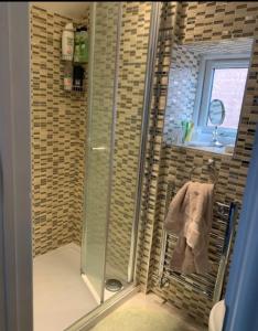a bathroom with a shower with a glass door at Redwing Rise in Royston