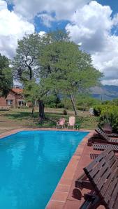 una piscina con 2 sillas y un árbol en Apart Mirador del lago- Solo para adultos en Las Rabonas