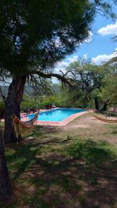 a swimming pool in a park with a tree at Apart Mirador del lago- Solo para adultos in Las Rabonas