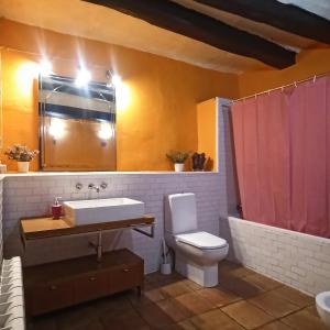 ein Badezimmer mit einem Waschbecken, einem WC und einem Spiegel in der Unterkunft Ca l'Aleixa in Bisbal de Falset