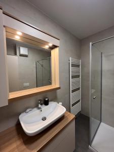 een badkamer met een wastafel en een glazen douche bij Felix Celeia Apartment in Celje