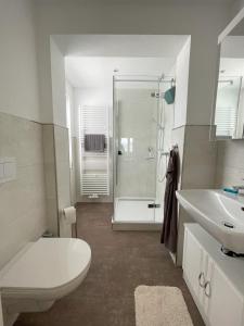 a bathroom with a shower and a toilet and a sink at Spatzennest Monteurzimmer in Korbach