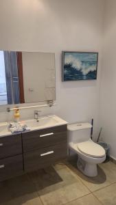 羅阿坦的住宿－Las Palmas Joliet，一间带卫生间、水槽和镜子的浴室