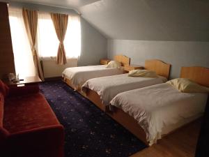 a hotel room with two beds and a couch at Pensiunea San in Arad