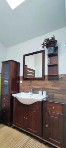 bagno con lavandino e specchio di Apartament u Janeczki a Stepnica