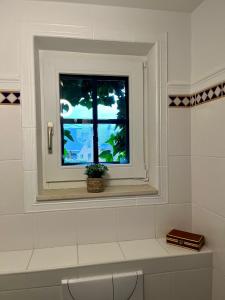 a window in a bathroom with a potted plant at Gîte La Petite Francorchamps Ardennaise in Stavelot