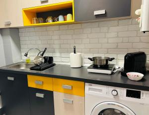 a kitchen with a sink and a washing machine at Henriett’s cosy places in Satu Mare