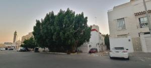 a white car parked next to a tree next to a building at Private Entrance 2 Bedroom Apartment fully furnished in Abu Dhabi