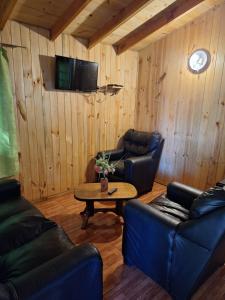 ein Wohnzimmer mit Sofas, einem Tisch und einem TV in der Unterkunft Cabañas el Temucano - Licanray in Licán Ray