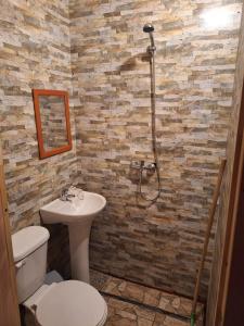 a bathroom with a toilet and a sink at Cabañas el Temucano - Licanray in Licán Ray