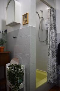 a bathroom with a shower with a shower curtain at North Coast country home(Portrush,Portstewart,Giant's Causeway) in Balnamore