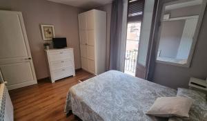 1 dormitorio con 1 cama, vestidor y ventana en Apartment Sant Francesc, en Olot