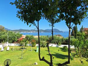 Gallery image of Armonia Apartments in Corfu Town