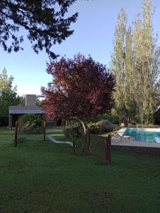 a yard with a swimming pool and a tree at Finca El Amparo in Los Reartes