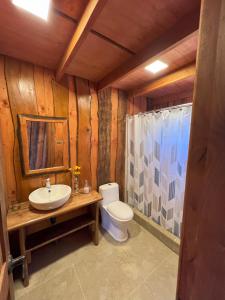 een badkamer met een toilet, een wastafel en een douche bij Kumewe Lodge in Panguipulli