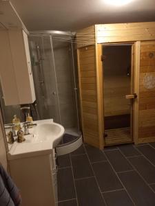 La salle de bains est pourvue d'une douche et d'un lavabo. dans l'établissement Alpenblick Monteurzimmer und Ferienwohnung, 