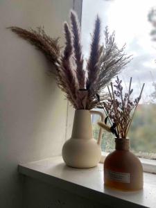 two vases with feathers sitting on a window sill at Flat in Kings Cross in London