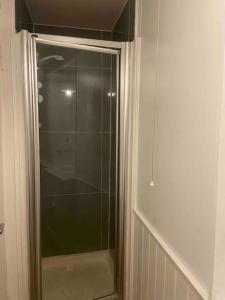 a shower with a glass door in a bathroom at Flat in Kings Cross in London