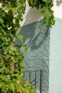 ein Schatten eines Zauns auf der Seite eines Gebäudes in der Unterkunft Agriturismo Ca' Pasquin in Roccaverano