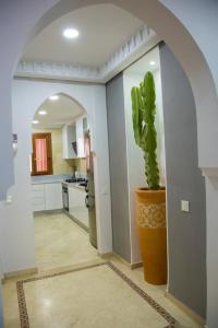 a kitchen with a cactus in a large pot at Luxe apartment / Prime location / 2 bedr- 2.5 bathrooms in Marrakech