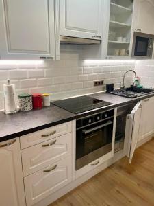 Kuchyň nebo kuchyňský kout v ubytování Apartmán 8, Jezerné