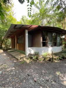 une petite maison au milieu d'une forêt dans l'établissement Hotel Ecológico Cabañas del Lago, à El Estor