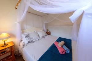 1 dormitorio con 1 cama con dosel en Aconchego em Cumuru en Cumuruxatiba