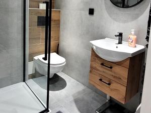 a bathroom with a toilet and a sink at Mieszkanie przy rzece in Gołdap