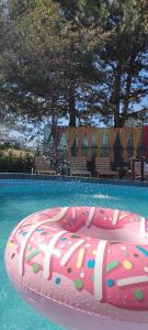 un radeau gonflable rose dans une piscine dans l'établissement Forest Home, à Pale