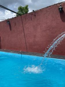 a dolphin is in the water in a pool at Residencial Arcoiris in Puerto Iguazú