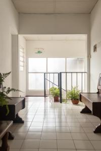 een lege kamer met potplanten en een groot raam bij Hotel Abadia in Gualeguaychú