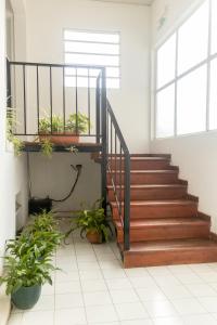 a staircase in a building with potted plants at Hotel Abadia in Gualeguaychú