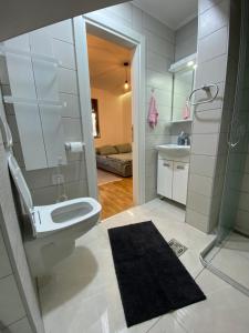 a bathroom with a toilet and a sink and a shower at Studio Snežana in Zlatibor +3 photos