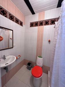 La salle de bains est pourvue de toilettes rouges et d'un lavabo. dans l'établissement Finca Numantia, à Santa Rosa de Cabal