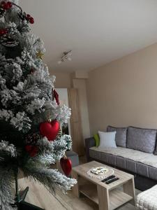 Зона вітальні в Apartman Maksimović Divčibare