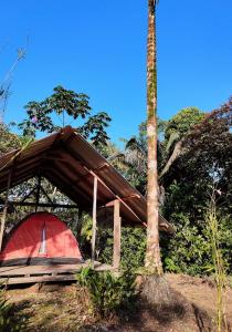 a tent with a palm tree in front of a tree at La Salamandra in Ladrilleros