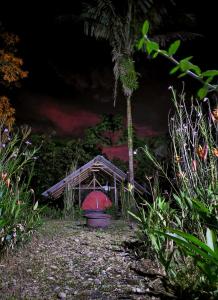 Gallery image of La Salamandra in Ladrilleros