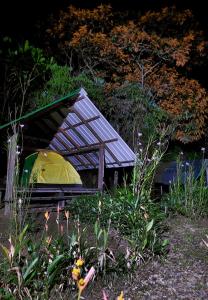Gallery image of La Salamandra in Ladrilleros