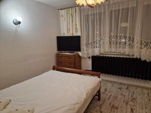 a bedroom with a bed and a flat screen tv at Agroturystyka Gramburg in Zblewo