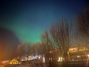 Fotografie z fotogalerie ubytování Lykkebo v destinaci Tromsø
