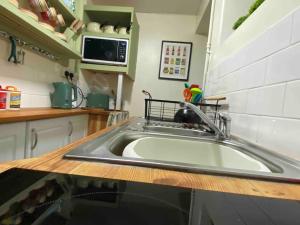 une cuisine avec un évier et un comptoir dans l'établissement Maytree Cottage. Compact home in Mid Wales., à Llanrhaeadr-ym-Mochnant 18 autres photos