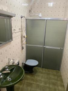 een badkamer met een groene wastafel en een toilet bij Sobrado 5 minutos da Basílica in Aparecida