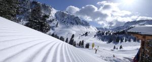 una montaña cubierta de nieve con árboles en una pista de esquí en Abete rosso, en Tesero