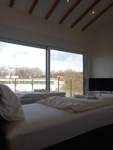 um quarto grande com 2 camas e uma janela grande em Ferienwohnungen Fabry 2 2 em Saarbrücken