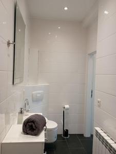 uma casa de banho branca com um WC e um lavatório em Ferienwohnungen Fabry 2 2 em Saarbrücken