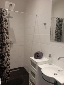 uma casa de banho branca com um lavatório e um chuveiro em Ferienwohnungen Fabry 2 2 em Saarbrücken